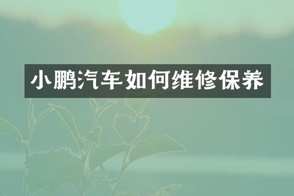 小鹏汽车如修保养