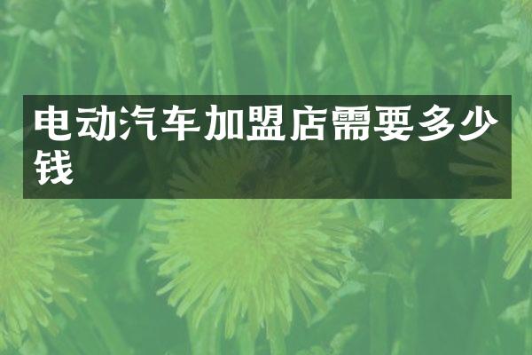 电动汽车加盟店需要多少钱