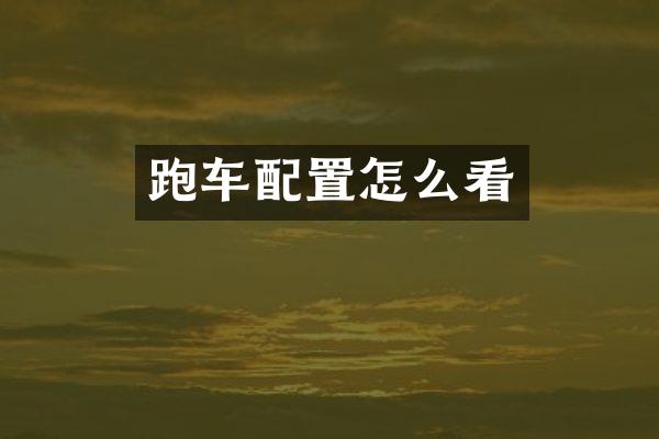 跑车配置怎么看
