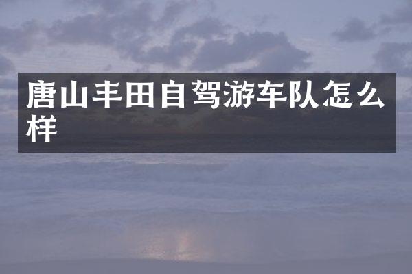 唐山丰田自驾游车队怎么样