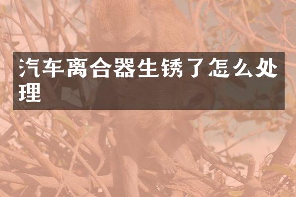 汽车离合器生锈了怎么处理