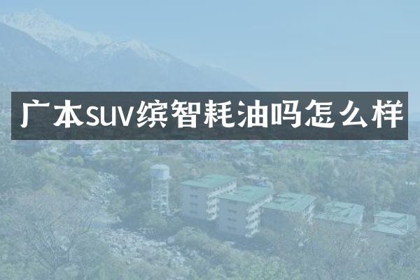 广本suv缤智耗油吗怎么样