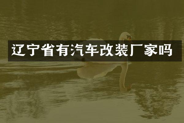 辽宁省有汽车改装厂家吗