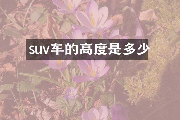 suv车的高度是多少