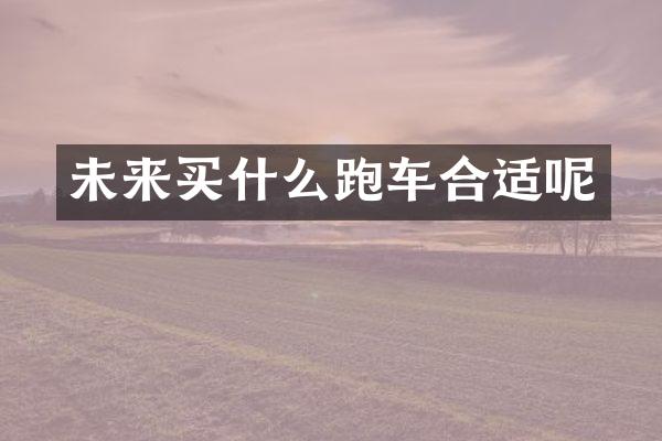 未来跑车合适呢