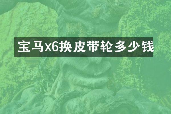宝马x6换皮带轮多少钱