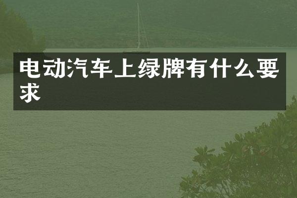 电动汽车上绿牌有什么要求