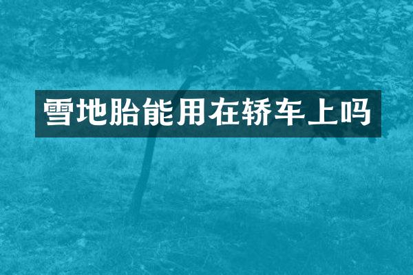 雪地胎能用在轿车上吗