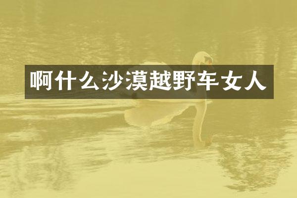 啊什么沙漠越野车女人