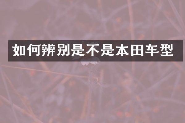 如何辨别是不是本田车型