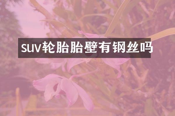 suv轮胎胎壁有钢丝吗