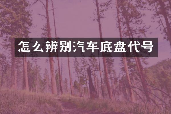 怎么辨别汽车底盘代号