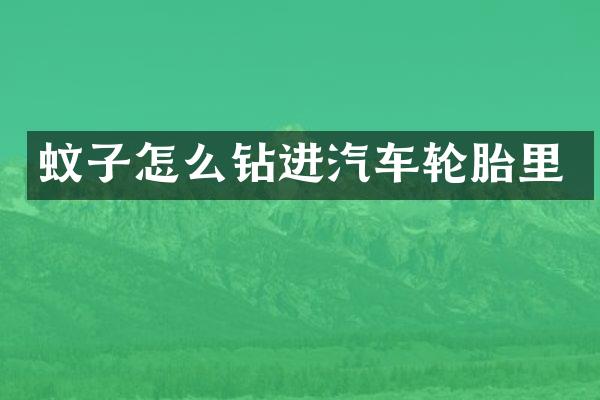 蚊子怎么钻进汽车轮胎里