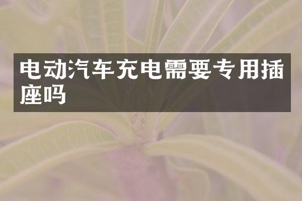 电动汽车充电需要专用插座吗