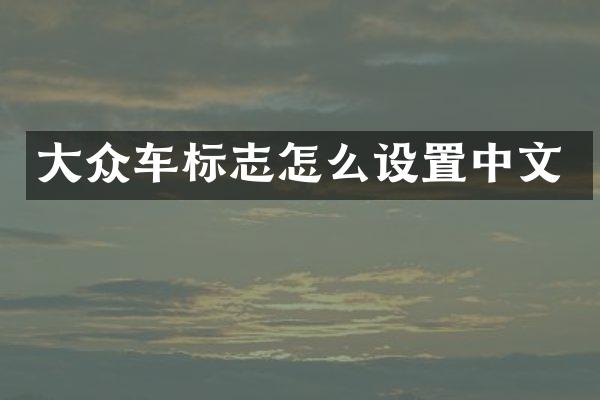 大众车标志怎么设置中文
