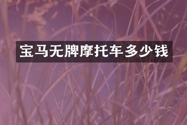 宝马无牌摩托车多少钱