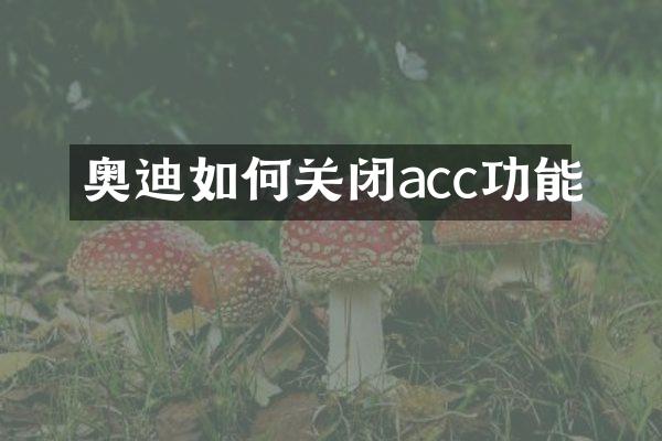 奥迪如何关闭acc功能