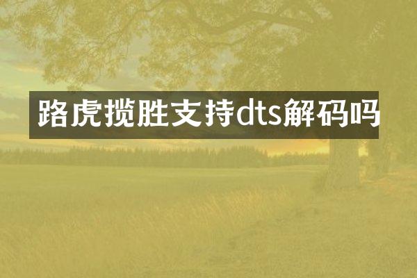 路虎揽胜支持dts解码吗