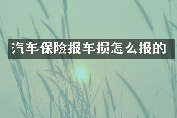 汽车保险报车损怎么报的
