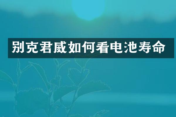 别克君威如何看电池寿命