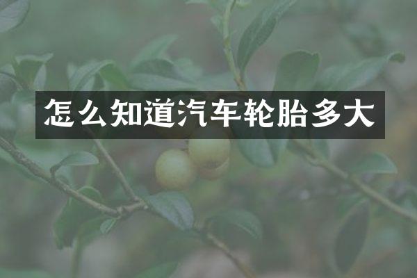 怎么知道汽车轮胎多大