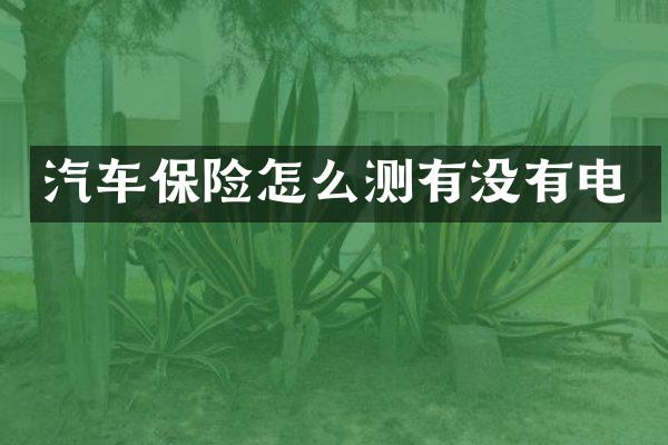 汽车保险怎么测有没有电
