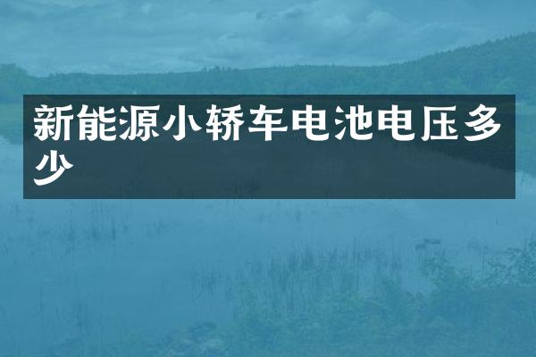 新能源小轿车电池电压多少
