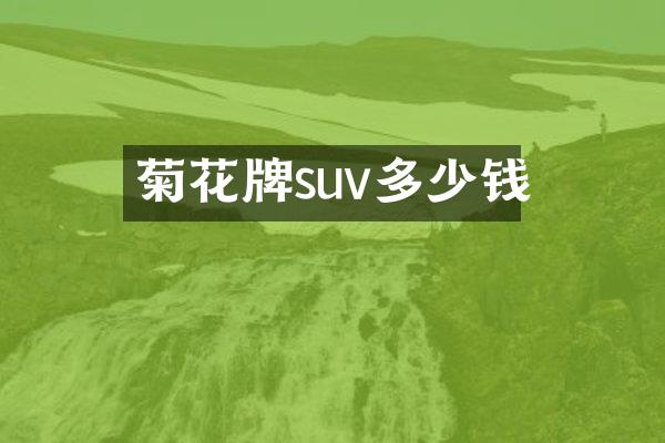 菊花牌suv多少钱