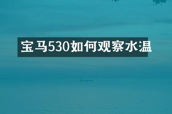 宝马530如何观察水温