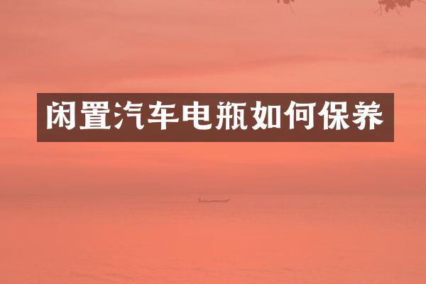 闲置汽车电瓶如何保养