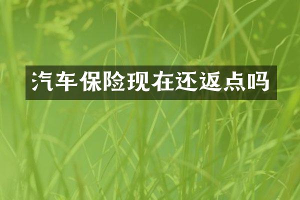 汽车保险现在还返点吗