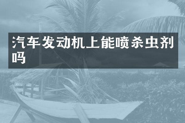 汽车发动机上能喷杀虫剂吗