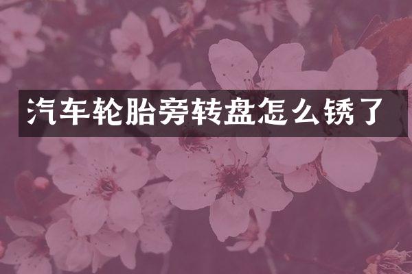 汽车轮胎旁转盘怎么锈了