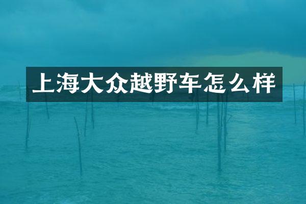 上海大众越野车怎么样