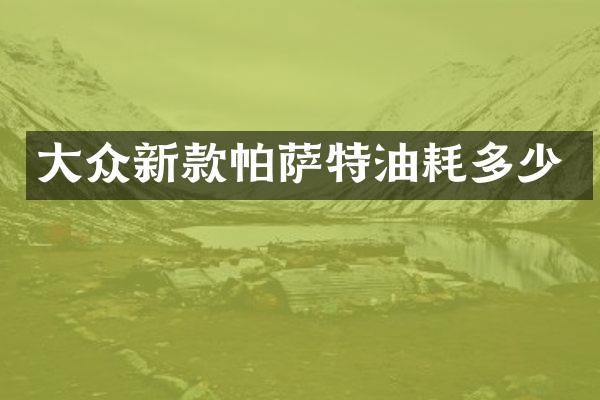 大众新款帕萨特油耗多少