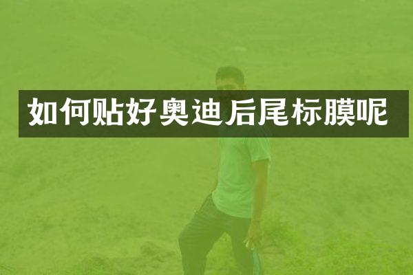 如何贴好奥迪后尾标膜呢