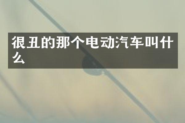 很丑的那个电动汽车叫什么