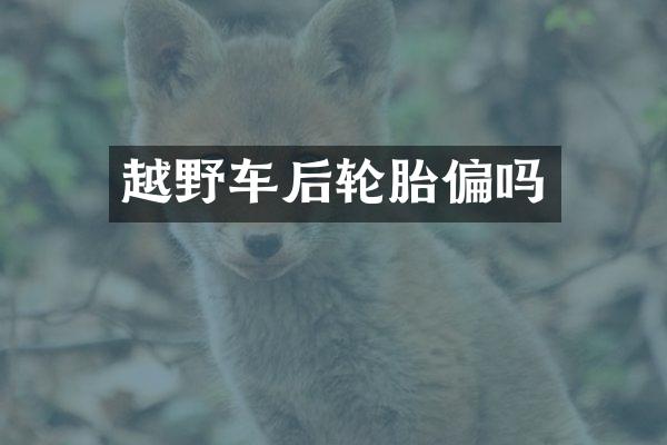 越野车后轮胎偏吗