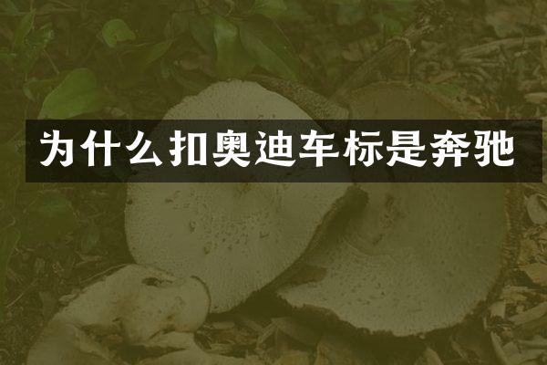 为什么扣奥迪车标是奔驰