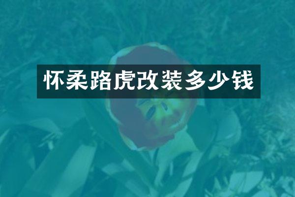 怀柔路虎改装多少钱