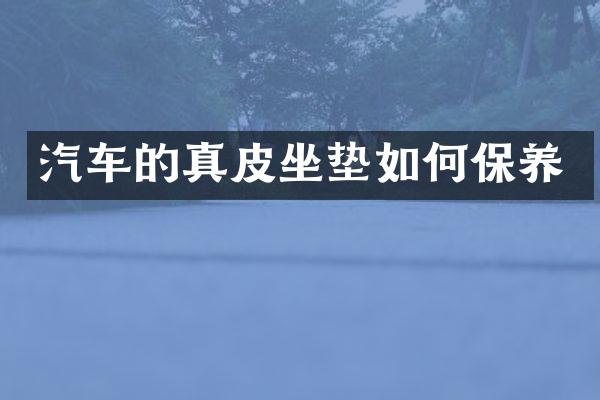 汽车的真皮坐垫如何保养