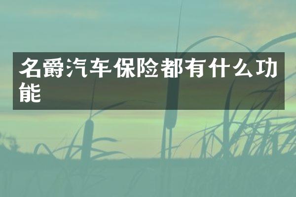名爵汽车保险都有什么功能