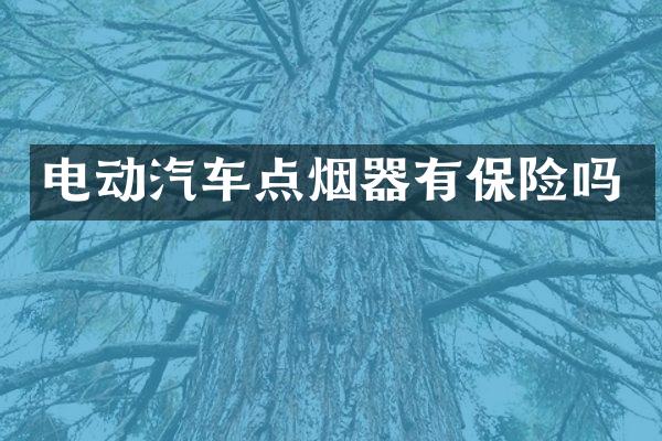 电动汽车点烟器有保险吗