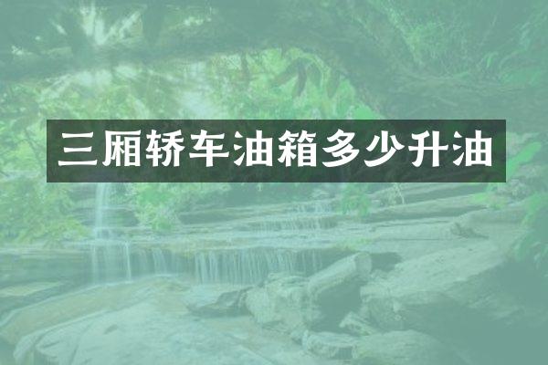 三厢轿车油箱多少升油