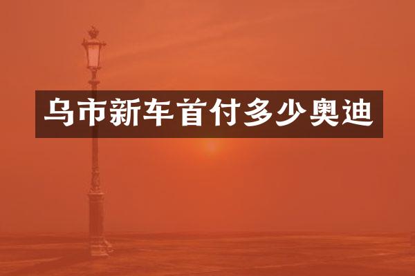 乌市新车首付多少奥迪