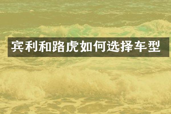 宾利和路虎如何选择车型