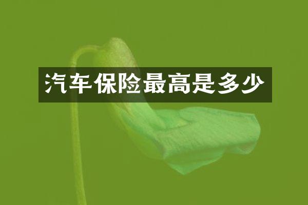 汽车保险最高是多少