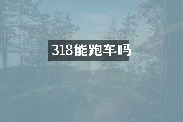 318能跑车吗