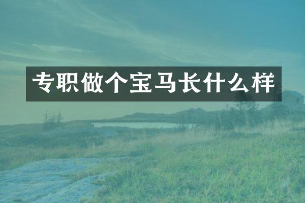 专职做个宝马长什么样