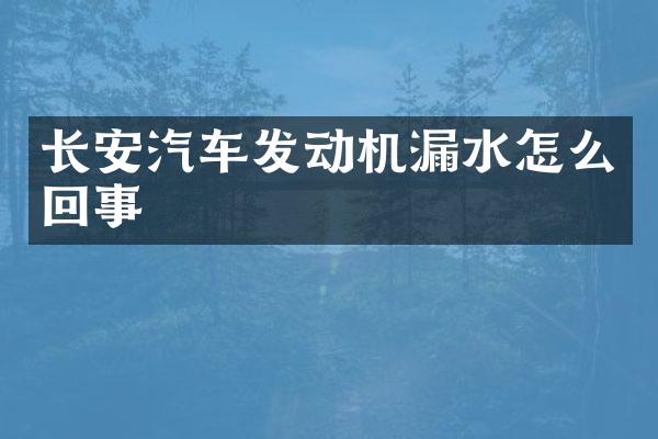 长安汽车发动机漏水怎么回事